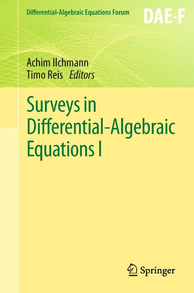 Differential-Algebraic Equations Forum / Surveys In Differential-Algebraic Equations I  Kartoniert (TB)
