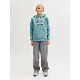 Jack & Jones Junior JJELOGO Sweat Hood 2 Col Blue 164