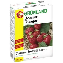 ASB Greenworld Spezial-Beerendünger 2,5 kg