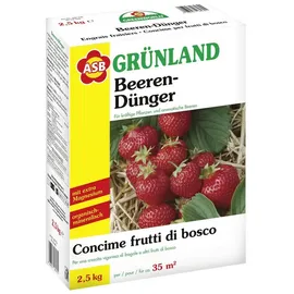 ASB Greenworld Spezial-Beerendünger 2,5 kg