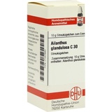 DHU-ARZNEIMITTEL AILANTHUS GLAND C30