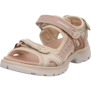 beige 36