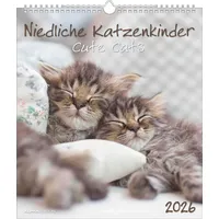 Neumann Niedliche Katzenkinder 2026 - Wand-Kalender - Tier-Kalender -