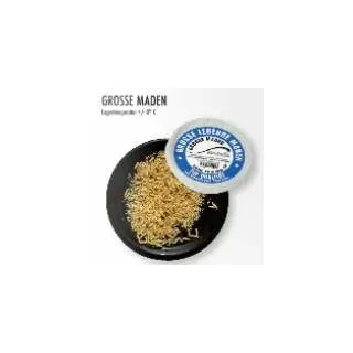 Grosse lebende Maden 125ccm Angelköder