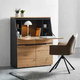 VOLEO Sekretär DETROIT