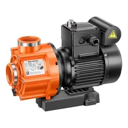 Speck BADU 42/6 Schwimmbad Umwälzpumpe Whirlpoolpumpe 230 V