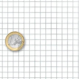 Karat Drahtgitter Verzinkt Maschenweite 6,3 mm Höhe 100 cm Länge 10 m Silber