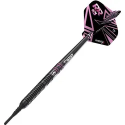 BULLS Dartpfeil BULLS Rusty-Jake Rodriguez Soft, FARBIG SILBER, ONE SIZE