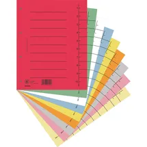 Donau Elektronik Trennblätter 250 g/qm A4 100 St.