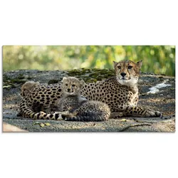 Artland Glasbild »Gepard 2«, Wildtiere, (1 St.), in verschiedenen Größen Artland Farbe Bild(er): braun