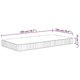 vidaXL Taschenfederkern 100 x 200 cm Mittel
