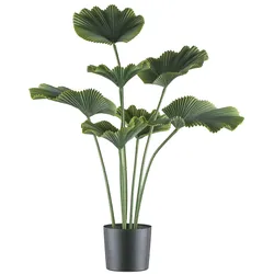 Kunstpalme CREATIV GREEN "Strahlenpalme", grün, H:100cm, Kunststoff, Kunstpflanzen, in trendiger Farbgebung