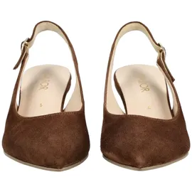 Gabor Pumps in cacao, / 4.5 UK