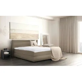 Wohnwert Dormian Bolge High 160 x 122 cm Beige