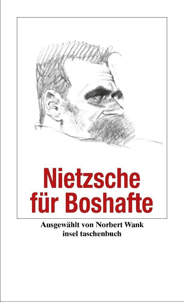 Nietzsche Für Boshafte - Friedrich Nietzsche  Taschenbuch