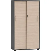 Schildmeyer Metz Aktenschrank 80,1 x 38,2 x 150 cm silber