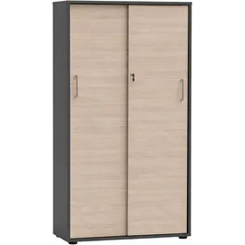 Schildmeyer Metz Aktenschrank 80,1 x 38,2 x 150 cm silber
