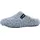 Verbenas York Curly Blau 40