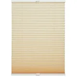 Schöner Wohnen Plissee 'Milla SW' beige 80 x 220 cm