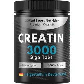 Exvital Creatin Monohydrat 3000 Tabletten 345 g