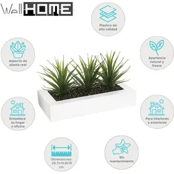 WellHome - Dekorativer Tafelaufsatz mit 3 Aloe Vera Pflanzen 17cm