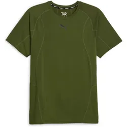 PUMA Herren Shirt M Train DriRelease Tee, MYRTLE, S