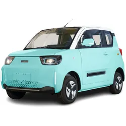 Stormborn City-Pony Elektro Kleinwagen