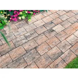 Diephaus Pflasterstein 20 x 15 x 5 cm Muschelkalk