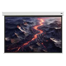 Celexon Batterie Leinwand V2.0 Motor Professional Plus 240 x 180 cm