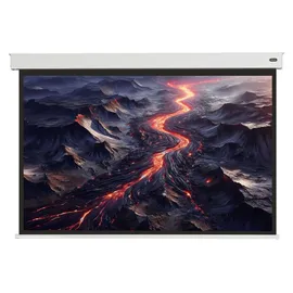 Celexon Batterie Leinwand V2.0 Motor Professional Plus 240 x 180 cm