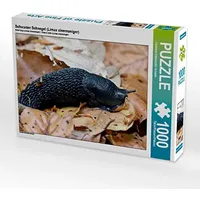 Calvendo Puzzle Schwarzer Schnegel (Limax cinereoniger) 1000 Teile Puzzle