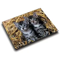 Läufer Schreibunterlage Motiv Katze 46637 Schreibtischunterlage Mehrfarbig