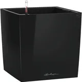 LECHUZA Cube 50 Komplettset 50 x 50 x 50 cm schwarz hochglanz