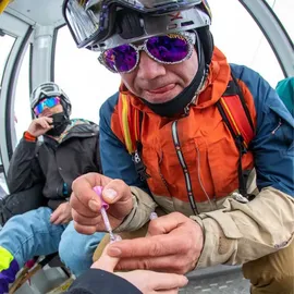 Pit Viper The Exciters - Son of Beach