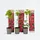Plant in a Box - Himbeerpflanzen - 6 Stk - Rubus ideaus 'Autumn Bliss' - Höhe 25-40cm - Topf 9cm