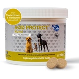 NutriLabs Acid Protect Hund