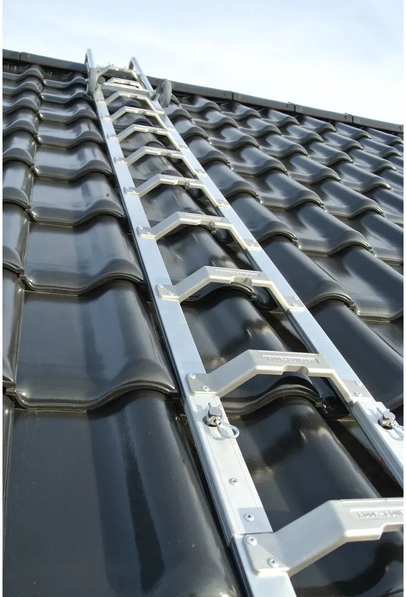 Altrex Dachleiter 2m
