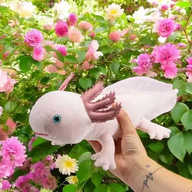 TOBAR Axolotl 30 cm Rosa