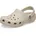 Clog Frappé 35