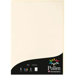 Pollen 10x Papier A4 Pollen 120g 50 Blatt - Elfenbein 4204C