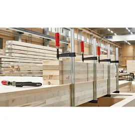 Bessey Temperguss-Schraubknecht TKPN 800/120