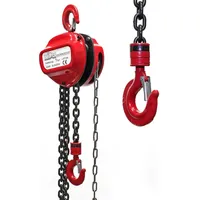 Wiltec - Kettenzug 1000kg Traglast, 3 m Kettenlänge und