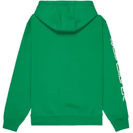 QUIKSILVER Omni Logo Green 16