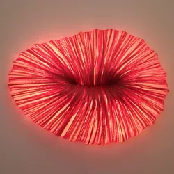 Baby Coral, 16 Farben