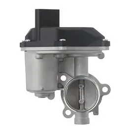 Valeo AGR-Ventil 703202