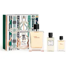 Hermès Terre d'Hermes Eau de Toilette 100 ml + Eau de Toilette 12,5 ml + After Shave Lotion 40 ml Geschenkset