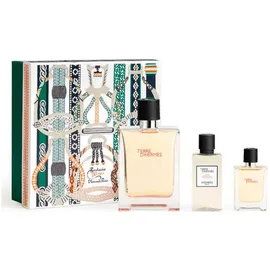 Hermès Terre d'Hermes Eau de Toilette 100 ml + Eau de Toilette 12,5 ml + After Shave Lotion 40 ml Geschenkset
