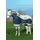 Horseware Rambo Summer Series Regendecke 0g 145 cm Navy/Grey