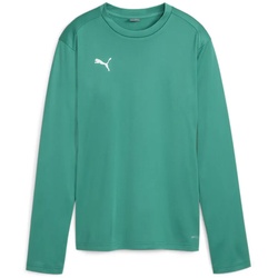 PUMA teamGOAL Trainings-Sweatshirt Damen 05 - sport green/power green/puma white L