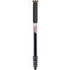 Trent 2.0 Monopod Grau,